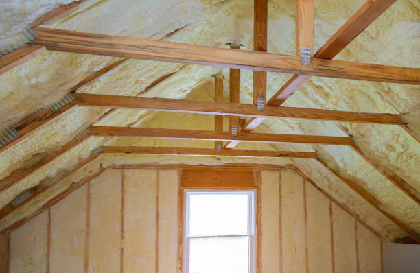 Best Types of Insulation in Mount Pleasant, TX