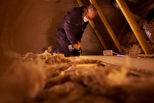 Best Insulation Installation Services in Mount Pleasant, TX